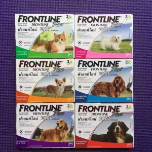 Frontline Plus ฟรอนท์ไลน์ พลัส สุนัข ยาหยอด 3 เดือน กำจัดเห็บหมัด